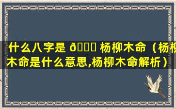 什么八字是 🐝 杨柳木命（杨柳木命是什么意思,杨柳木命解析）